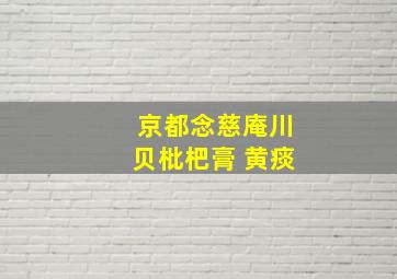 京都念慈庵川贝枇杷膏 黄痰